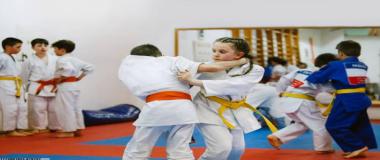 项目全程跟踪与服务